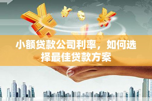西秀小额贷款公司利率，如何选择最佳贷款方案