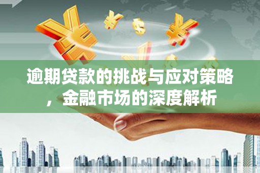 西秀逾期贷款的挑战与应对策略，金融市场的深度解析