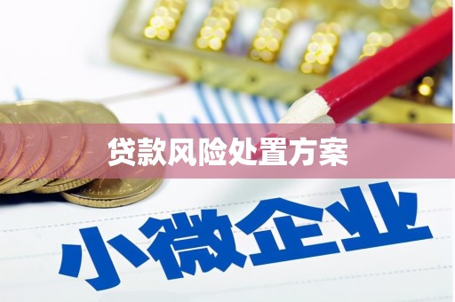 西秀贷款风险处置方案