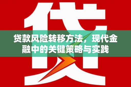 西秀贷款风险转移方法，现代金融中的关键策略与实践