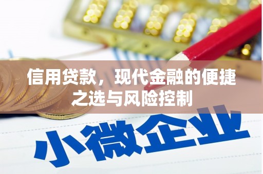 西秀信用贷款，现代金融的便捷之选与风险控制