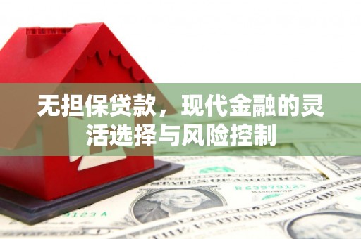 西秀无担保贷款，现代金融的灵活选择与风险控制