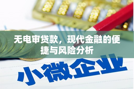 西秀无电审贷款，现代金融的便捷与风险分析