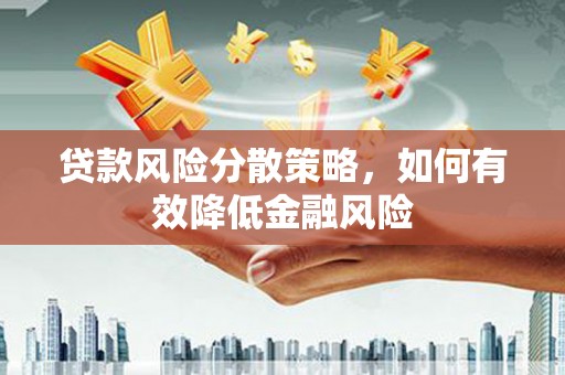 西秀贷款风险分散策略，如何有效降低金融风险