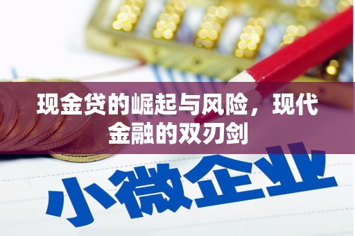 西秀现金贷的崛起与风险，现代金融的双刃剑