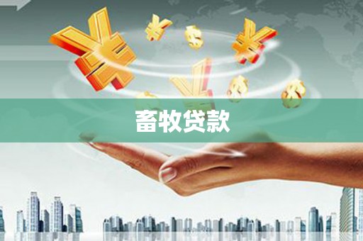 西秀畜牧贷款