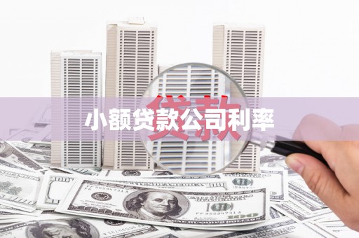 西秀小额贷款公司利率