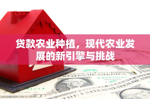 西秀贷款农业种植，现代农业发展的新引擎与挑战