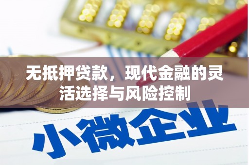 西秀无抵押贷款，现代金融的灵活选择与风险控制