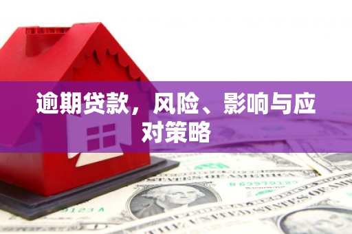 西秀逾期贷款，风险、影响与应对策略