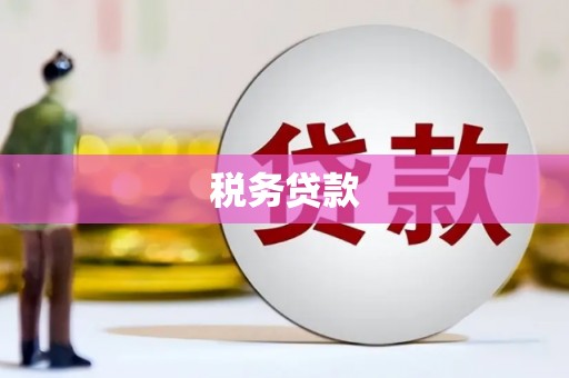 西秀税务贷款