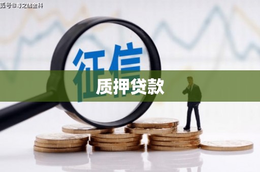 西秀质押贷款