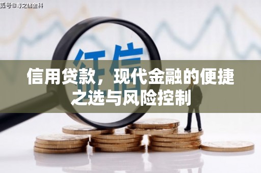 西秀信用贷款，现代金融的便捷之选与风险控制