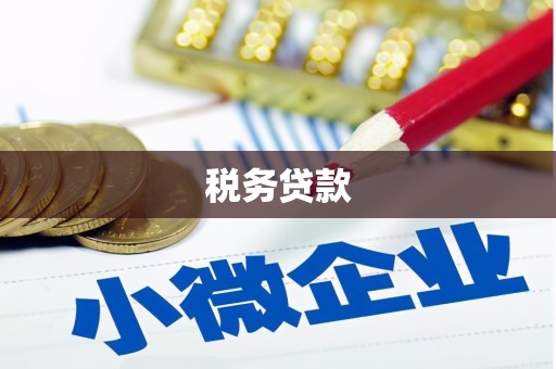 西秀税务贷款