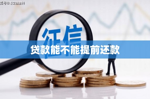 西秀贷款能不能提前还款