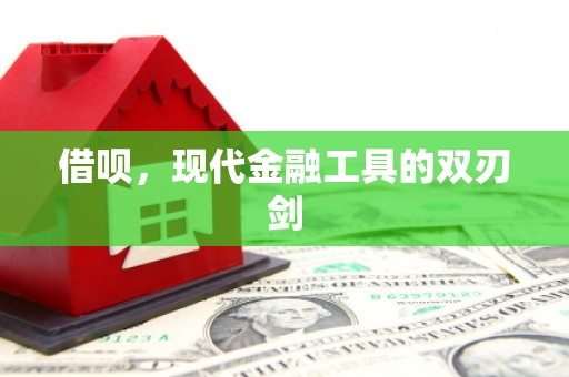 西秀借呗，现代金融工具的双刃剑