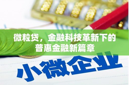 西秀微粒贷，金融科技革新下的普惠金融新篇章