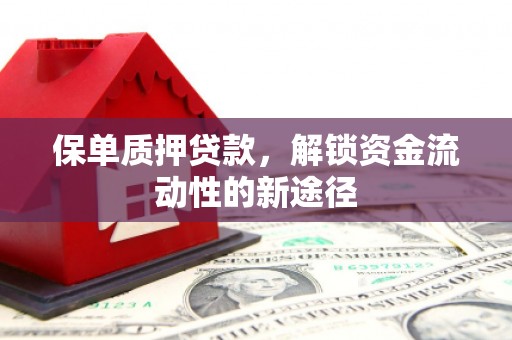 西秀保单质押贷款，解锁资金流动性的新途径