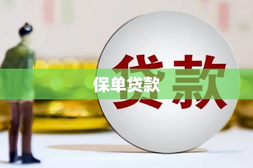 西秀保单贷款