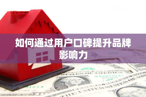 西秀如何通过用户口碑提升品牌影响力