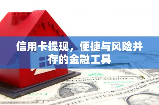 西秀信用卡提现，便捷与风险并存的金融工具