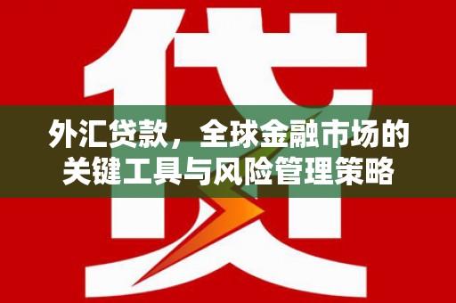 西秀外汇贷款，全球金融市场的关键工具与风险管理策略