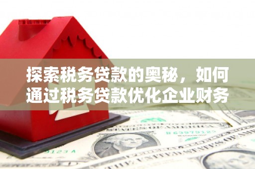 西秀探索税务贷款的奥秘，如何通过税务贷款优化企业财务