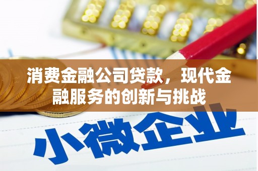 西秀消费金融公司贷款，现代金融服务的创新与挑战