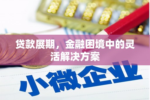 西秀贷款展期，金融困境中的灵活解决方案