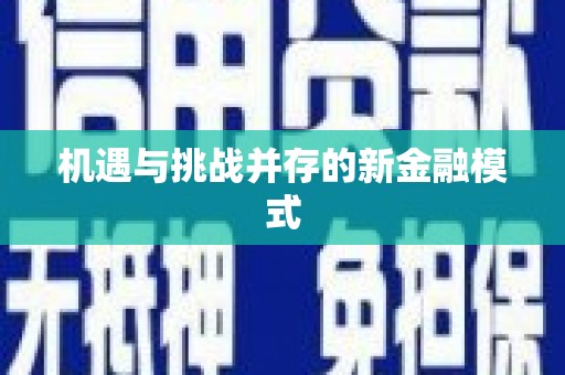 西秀机遇与挑战并存的新金融模式