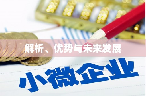西秀解析、优势与未来发展