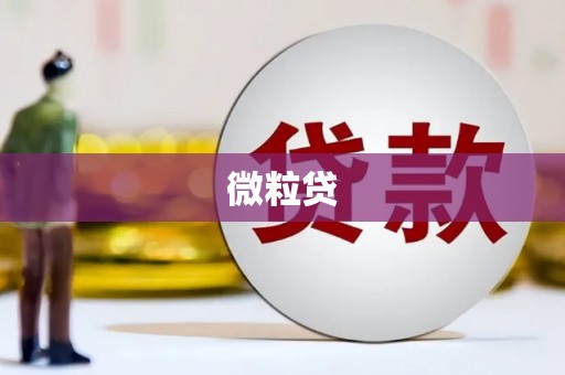 西秀微粒贷
