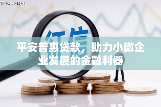 西秀平安普惠贷款，助力小微企业发展的金融利器