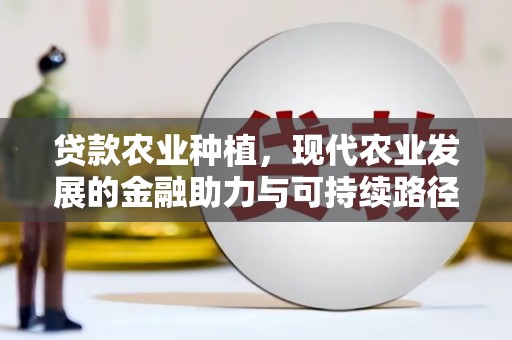 西秀贷款农业种植，现代农业发展的金融助力与可持续路径