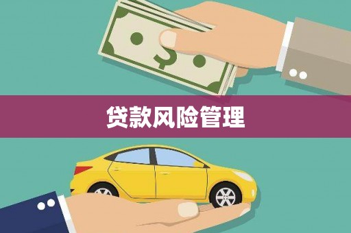 西秀贷款风险管理
