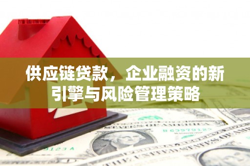 西秀供应链贷款，企业融资的新引擎与风险管理策略