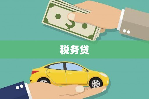西秀税务贷
