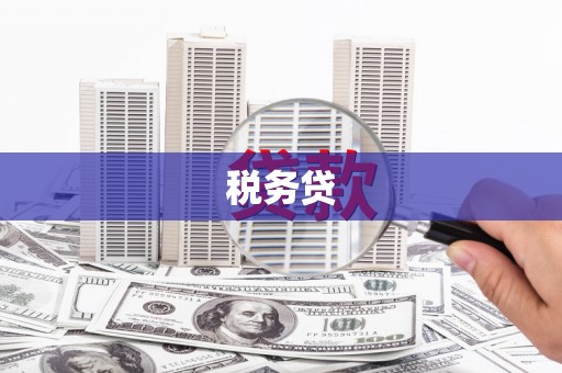 西秀税务贷