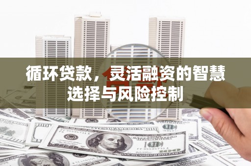 西秀循环贷款，灵活融资的智慧选择与风险控制
