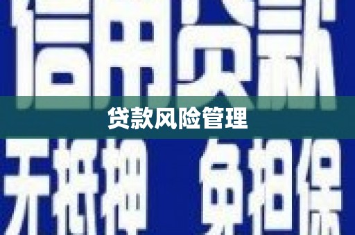 西秀贷款风险管理