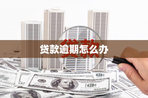 西秀贷款逾期怎么办