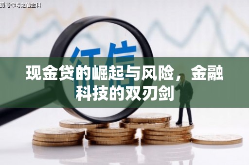 西秀现金贷的崛起与风险，金融科技的双刃剑