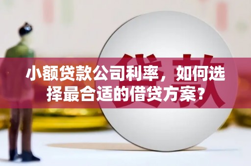 西秀小额贷款公司利率，如何选择最合适的借贷方案？