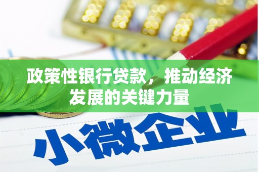 西秀政策性银行贷款，推动经济发展的关键力量