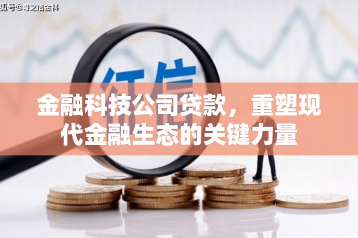 西秀金融科技公司贷款，重塑现代金融生态的关键力量