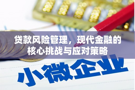 西秀贷款风险管理，现代金融的核心挑战与应对策略