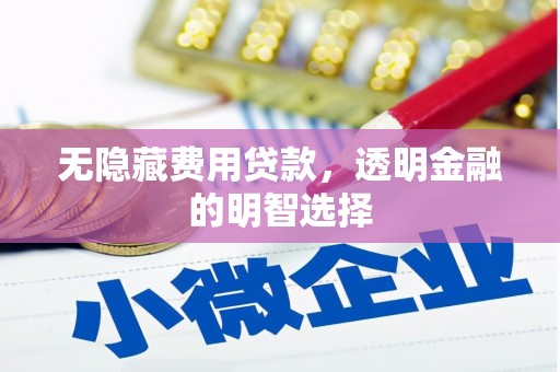 西秀无隐藏费用贷款，透明金融的明智选择