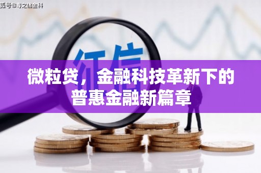 西秀微粒贷，金融科技革新下的普惠金融新篇章