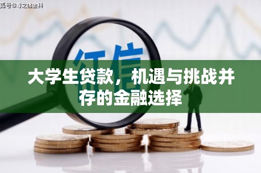 西秀大学生贷款，机遇与挑战并存的金融选择