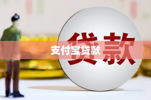 西秀支付宝贷款